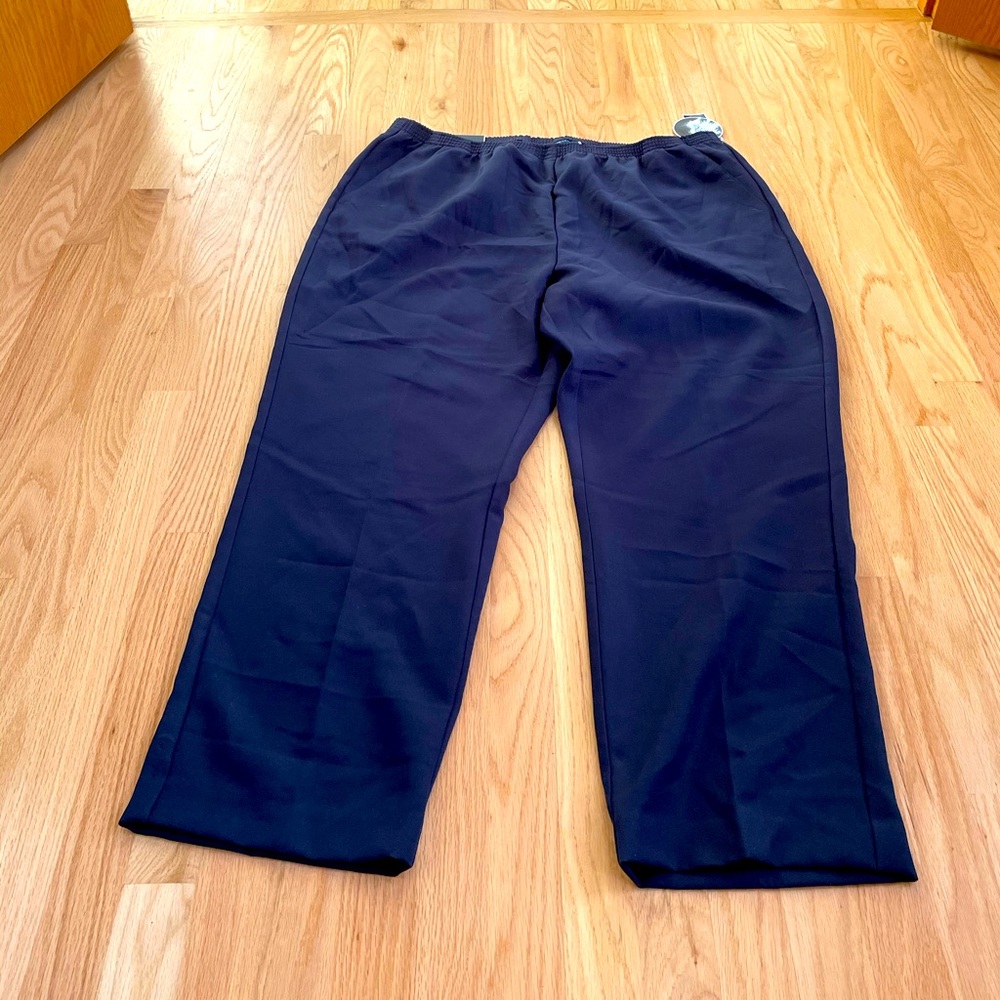 Karen Scott polyester pants size 2X
